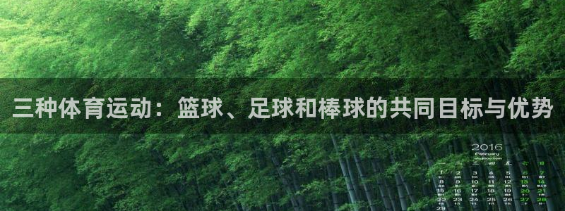 yy易游官网下载平台注册要钱吗安全吗:三种体育运动:篮球、足