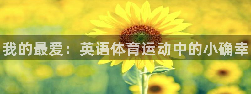yy易游官方集团官网:我的最爱:英语体育运动中的小确幸