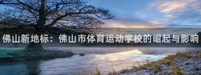 yy易游官方正版app官网:佛山新地标:佛山市体育运动学校的